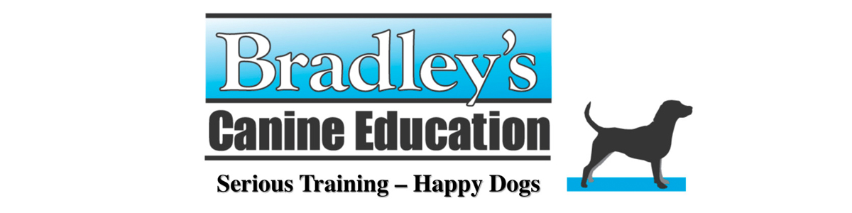 Bradley's Canine Education